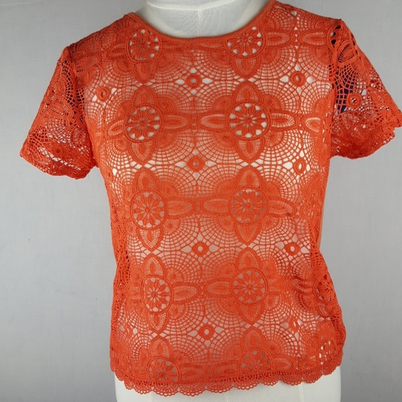 Orange Sheer Lace Knit Top - Picture 1 of 4